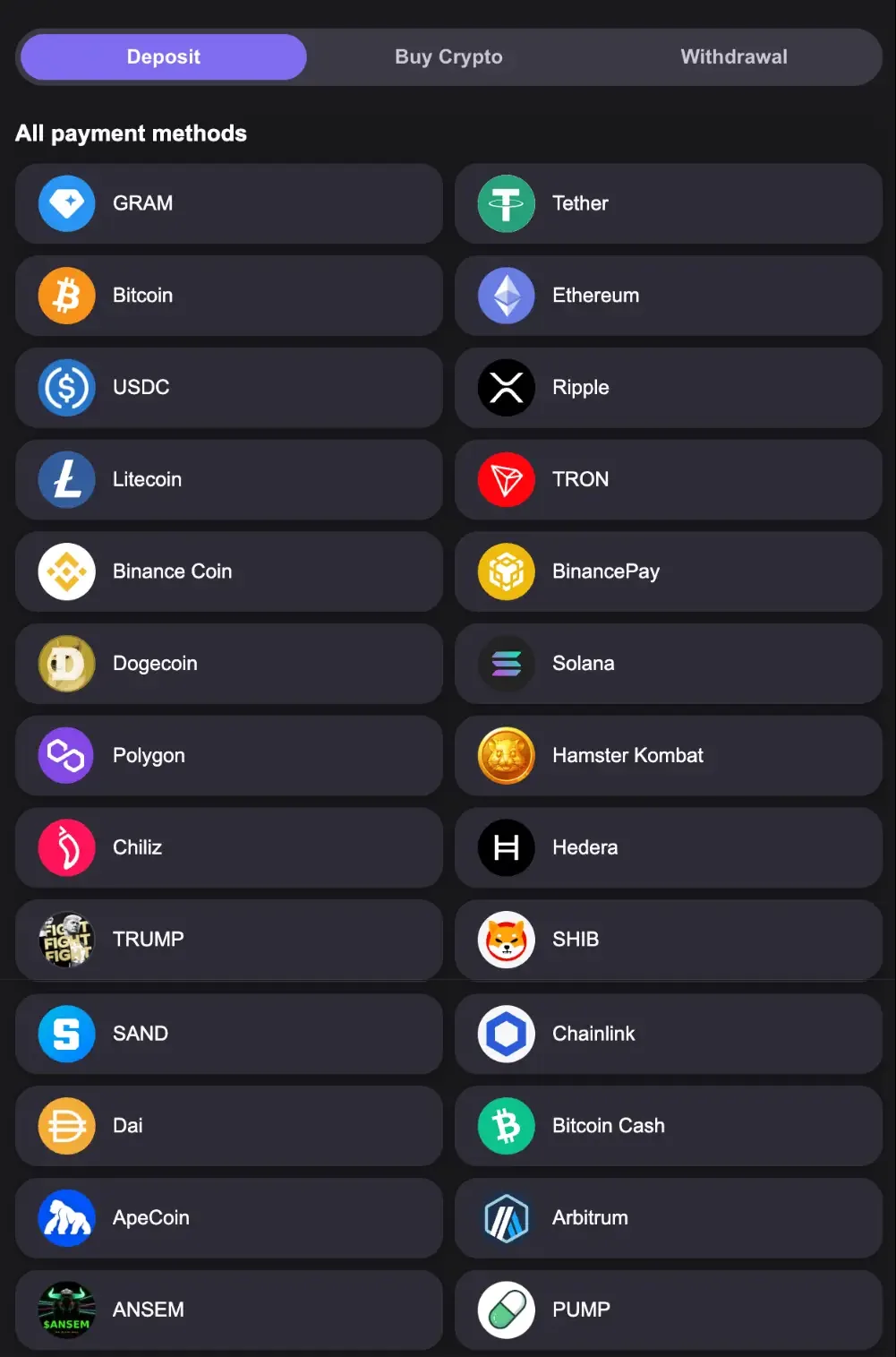 Reels.io cashier with Deposit, Buy Crypto and Withdrawal tabs and the full list of 26 payment methods from GRAM, Tether and Bitcoin to ANSEM and PUMP